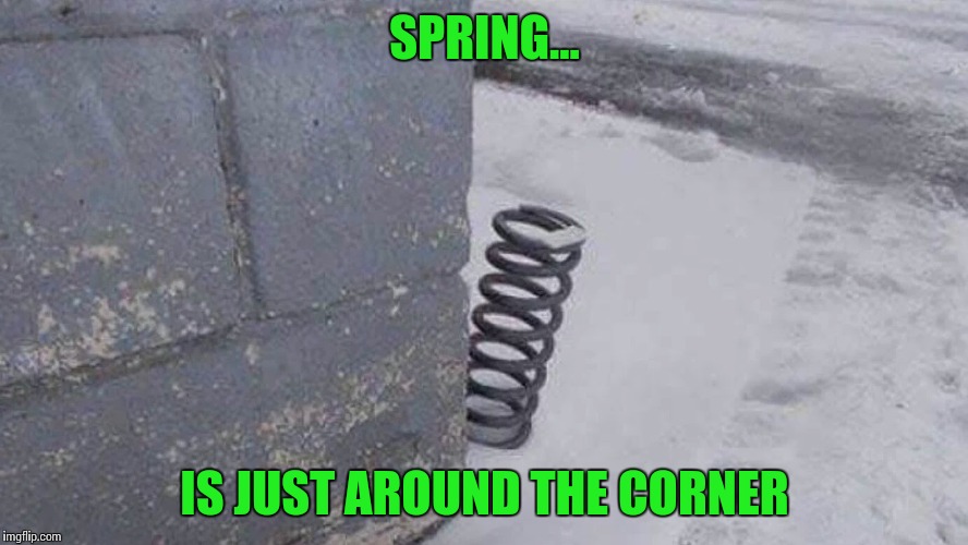 spring is coming